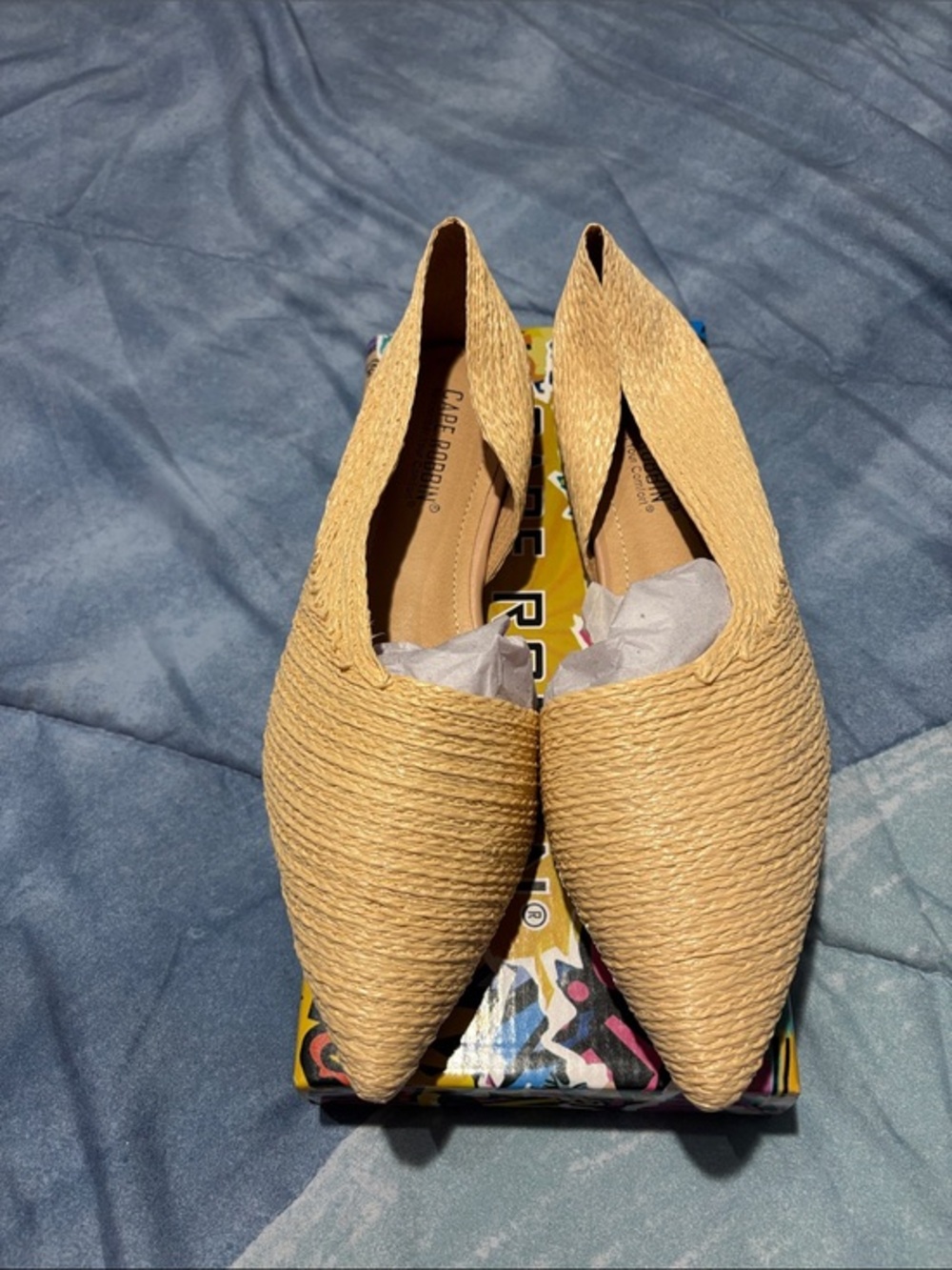 Cape Robbin Beige Woven Pointed Slip-On Flat